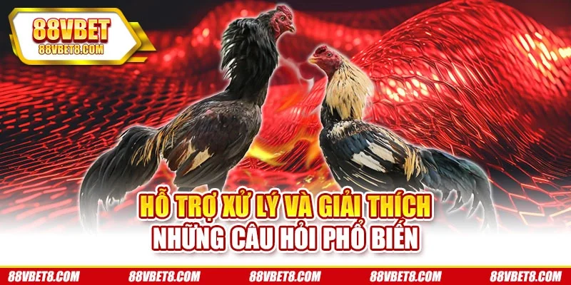 Hỗ trợ xử lý và giải thích những câu hỏi phổ biến app-da-ga-giai-dap-thac-mac