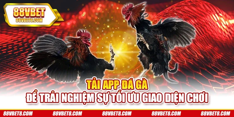 Tải app đá gà để trải nghiệm sự tối ưu giao diện chơi app-da-ga-giao-dien-ung-dung