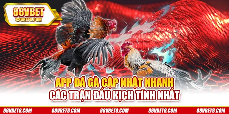 App Đá Gà Cập Nhật Nhanh Các Trận Đấu Kịch Tính Nhất