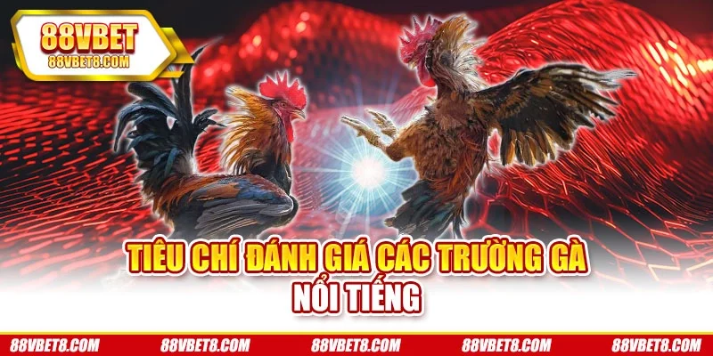 Tiêu chí đánh giá các trường gà nổi tiếng
