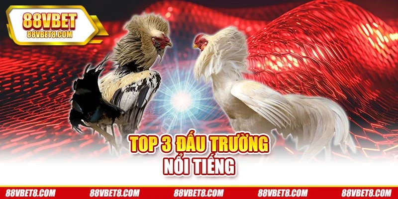 Các Trường Gà Nổi Tiếng - Top 3 Đấu Trường Đứng Hàng Đầu