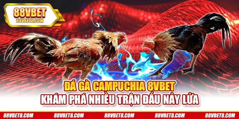 Đá Gà Campuchia 8vbet - Khám Phá Nhiều Trận Đấu Nảy Lửa