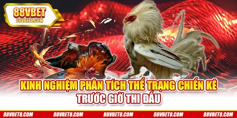 Kinh nghiệm phân tích thể trạng chiến kê trước giờ thi đấu