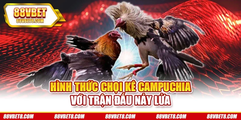 Hình thức chọi kê Campuchia với trận đấu nảy lửa
