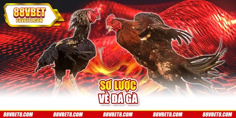 Sơ lược về đá gà