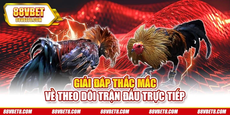 Giải đáp thắc mắc về theo dõi trận đấu trực tiếp